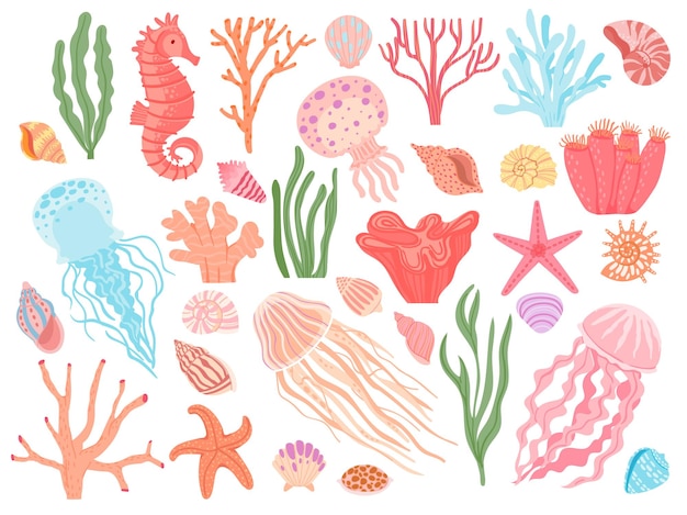 海の要素。漫画の海藻、サンゴ、貝殻、サンゴ礁の動物。海のヒトデ、タツノオトシゴ、クラゲ。航海装飾ベクトルセット。水中生態系、アクア自然生物