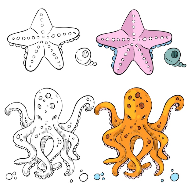 Ocean life coloring