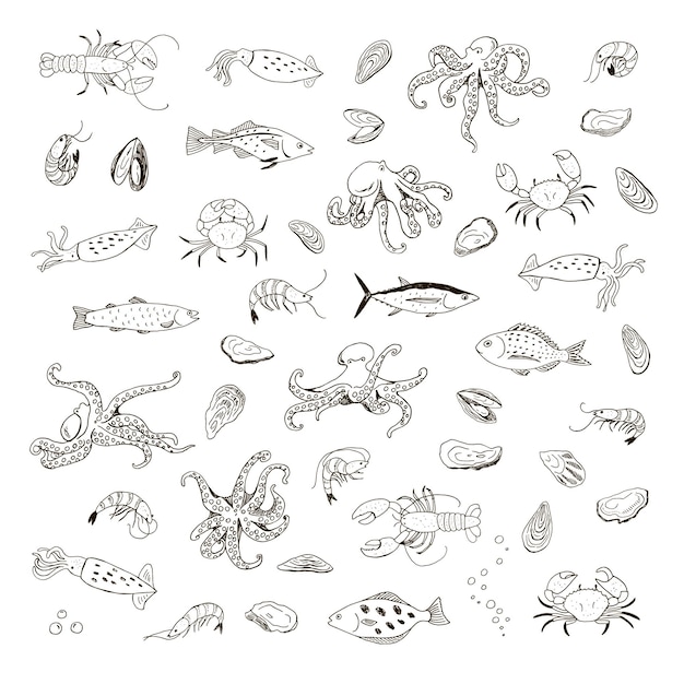 Ocean life octopus crab lobster squid shrimp oyster mussels fish vector line illustrations set