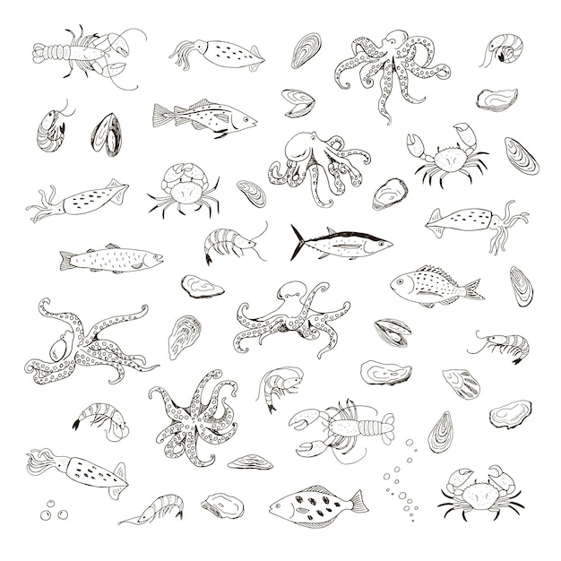 Ocean life octopus krab kreeft inktvis garnalen oester mosselen vis vector lijn illustraties set