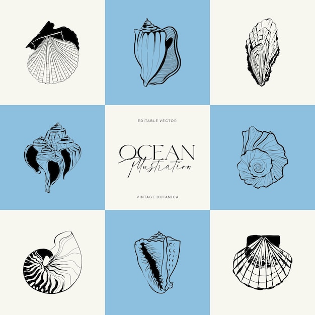 Vector ocean and sea botanica illustration black ink line doodle style