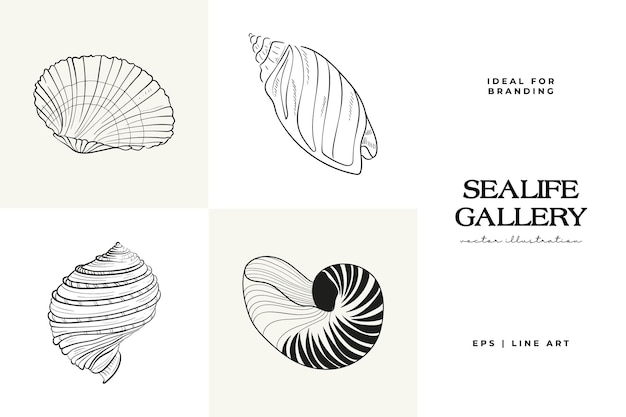 Vector ocean and sea botanica illustration black ink line doodle style