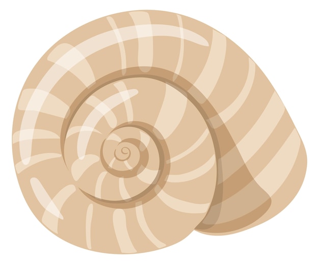 Ocean seashell icon Aquatic shell swirl fauna isolated on white background