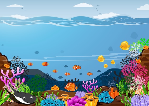 Океаны и подводные миры