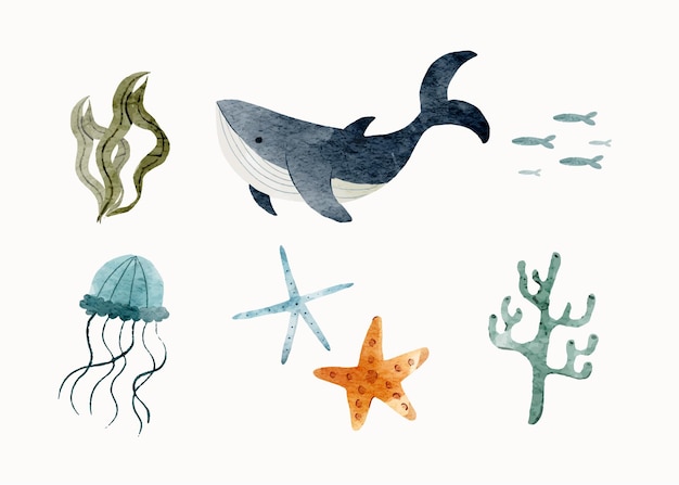 Vector oceans element pack hand drawn in watercolor style