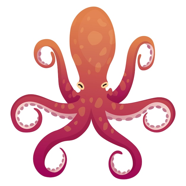 Octopus cartoon flat character with suckers on hands Aquatic fauna icon Animal illustration for zoo ad nature concept Cute color octopus sea animal with tentacles