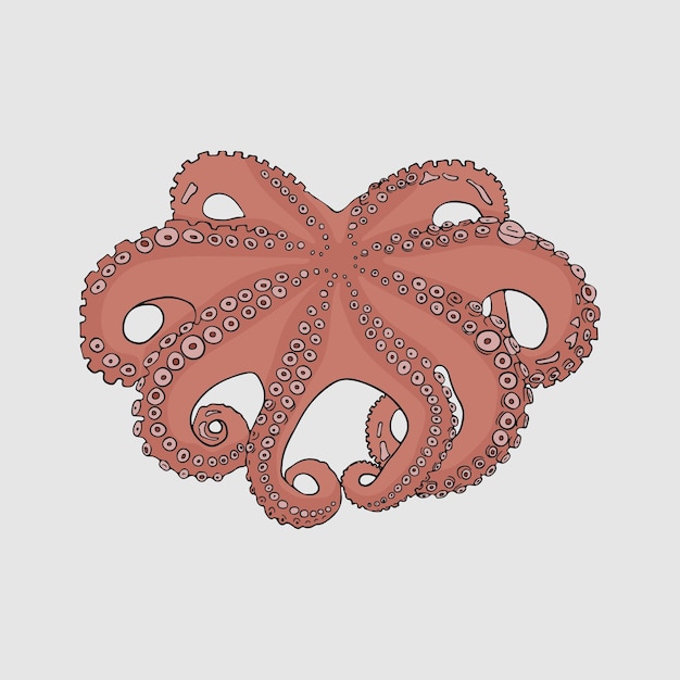 Vector octopus doodles