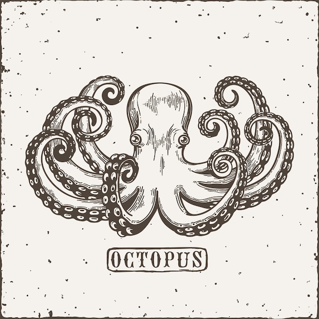 Octopus gravure. vintage zwarte gravure illustratie. retro-stijl kaart. geïsoleerd op een witte achtergrond.