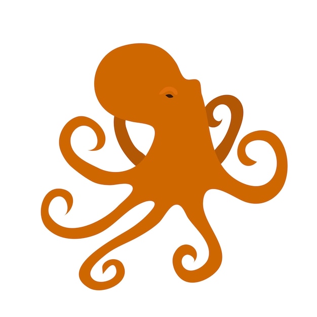 Octopus. Het leven in zee.