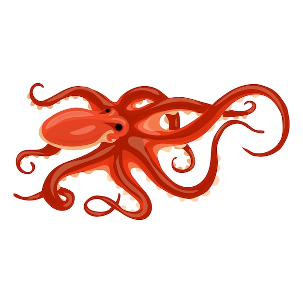 Vector octopus icon cartoon of octopus vector icon for web design isolated on white background