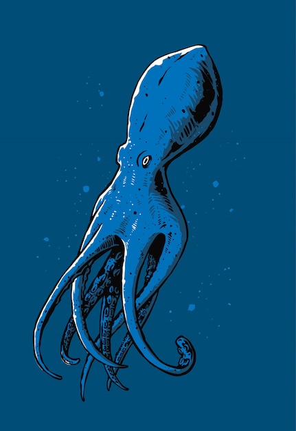 Octopus illustratie