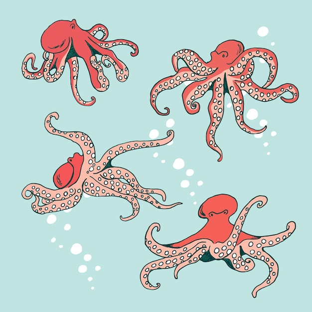 Octopus sea animal vector illustrations set