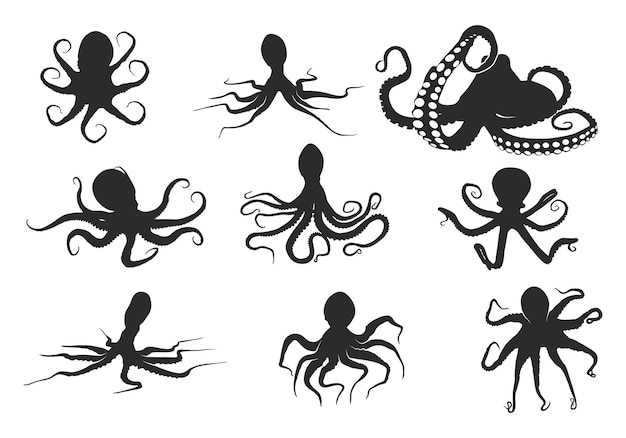 Octopus silhouet Octopus vector Octopus Silhouettes Octopus clipart Octopus icoon set