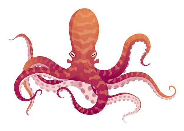 Octopus stripfiguur met sukkels op handen Aquatische fauna pictogram dierlijke illustratie voor dierentuin advertentie natuur concept Cute kleur octopus zeedier met tentakels