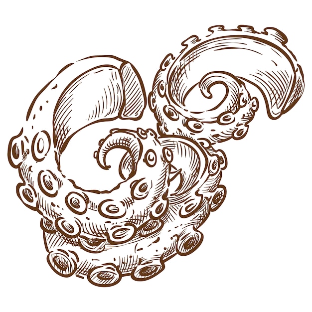 Vettore disegno della mano di schizzo di vettore di tentacolo del polipo