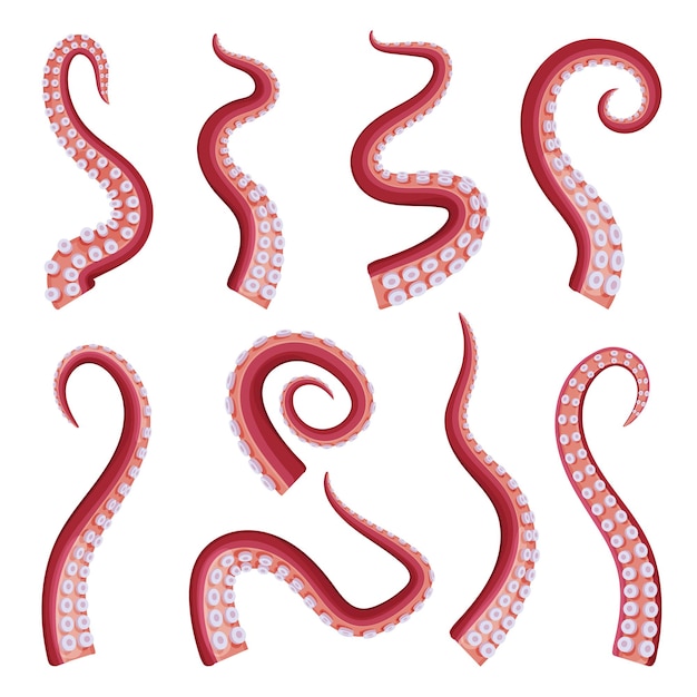 Octopus Tentacles Collection Zeevruchten Onderwater Zeedier Deel van het lichaam Vector Illustratie