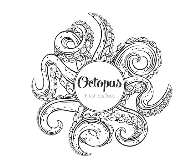 Vector octopus tentacles outline frame banner with empty space. drawn monochrome limbs of the sea monster kraken. vector illustration of sea octopus twisted tentacles with sucker