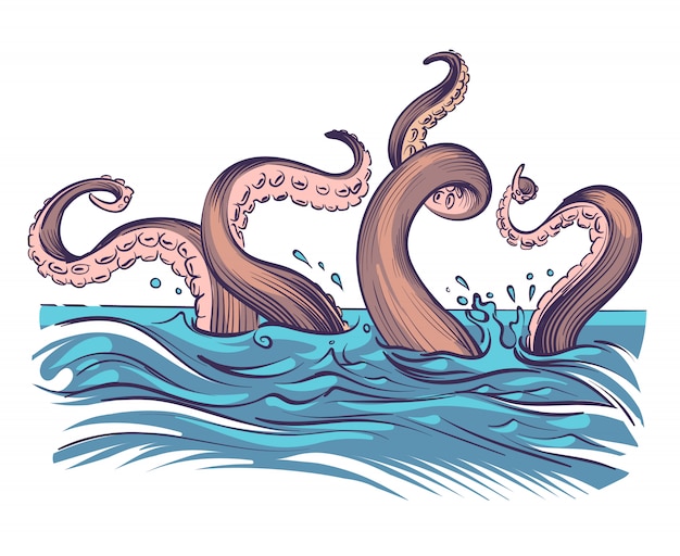 Tentacoli di polpo nel mare