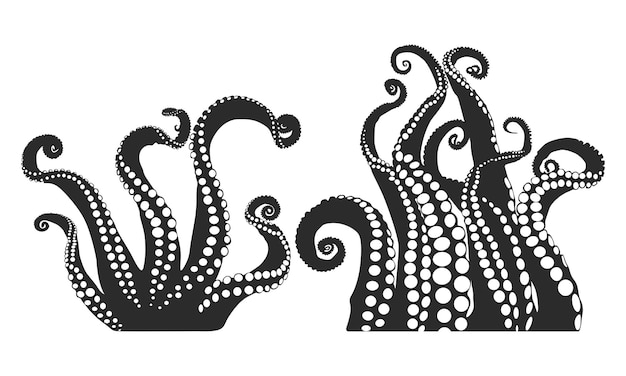Vector octopus tentacles silhouette tentacles silhouette tentacles clipart sea monster drawing