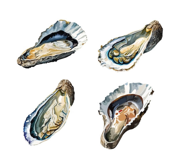 Oesters clipart geïsoleerde vectorillustratie