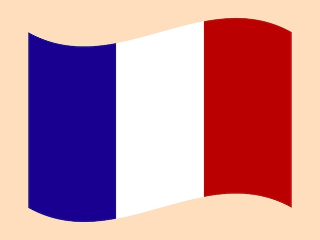 Vector official national flag of france background closeup vector