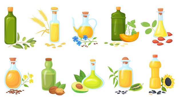 Oil seeds bottles oils for cooking vegetables with germ seed fat plant wheat olive sunflower sesame mustard nuts peanut farming nutrition fats cartoon neat vector illustration