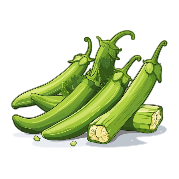 Okra vector on white background