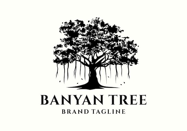 Vector old banyan tree logo icon vector design illustration