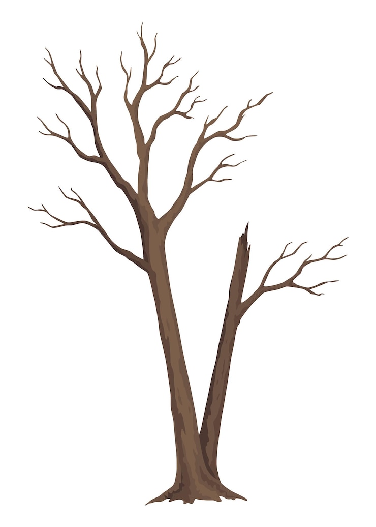 Vector old dead tree hand draw leafless trunk winter or autumn season plants icon dry naked branch silhouette nature ecology problems concept isolated vector illustration