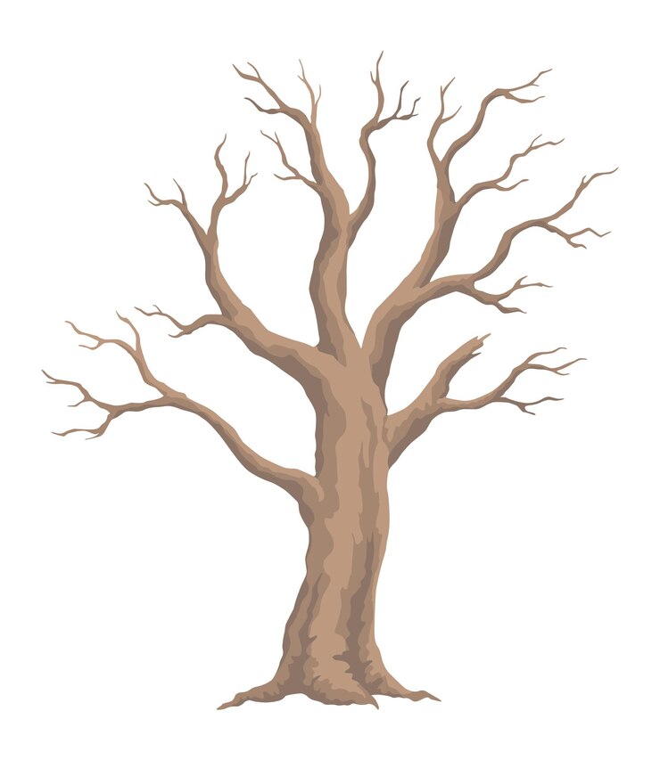 Vector old dead tree hand draw leafless trunk winter or autumn season plants icon dry naked branch