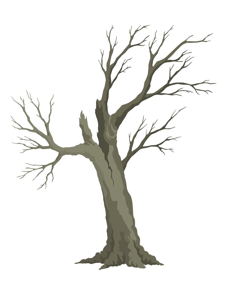 Vector old dead tree rough spooky bark dry naked branch silhouette vector scary forest leafless trunk nature ecology problems concept winter or autumn season plants icon isolated