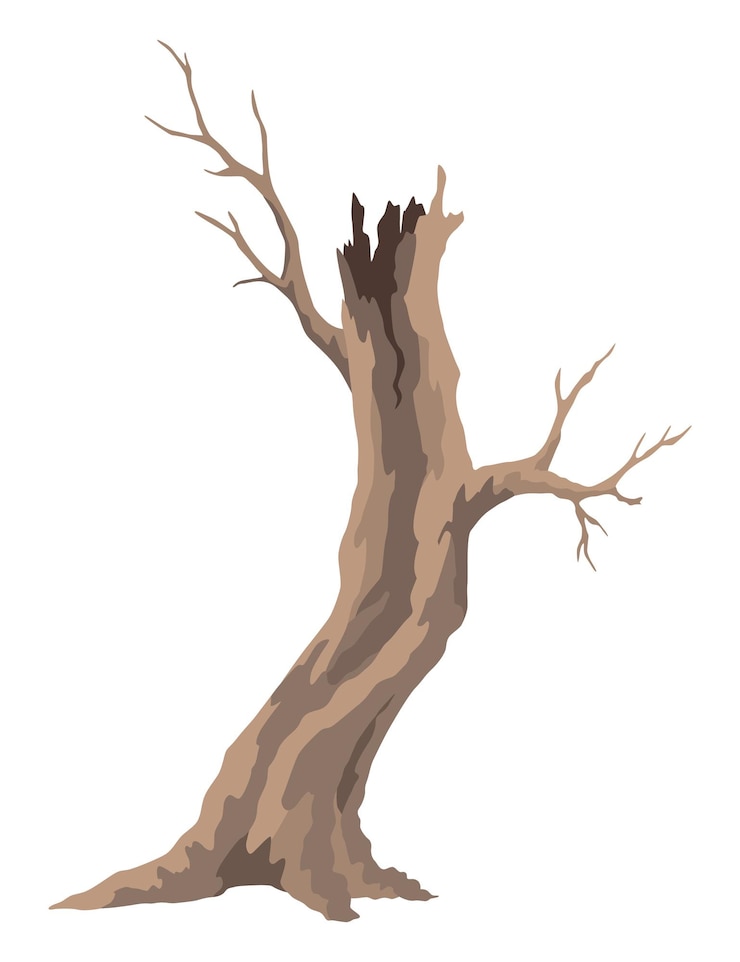 Vector old dead tree rough spooky bark dry naked branch silhouette vector scary forest leafless trunk nature ecology problems concept winter or autumn season plants icon isolated