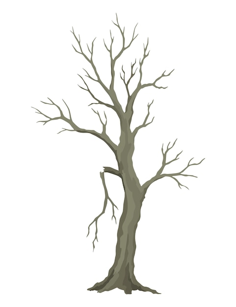 Старое мертвое дерево грубая жуткая кора сухая обнаженная ветвь силуэт вектор страшный лес без листьев ствол природная экология проблемы концепция зимний или осенний сезон растений иконка изолирована