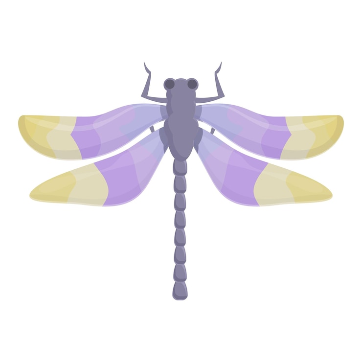 Vector old dragonfly icon cartoon vector bug insect summer fly dragon