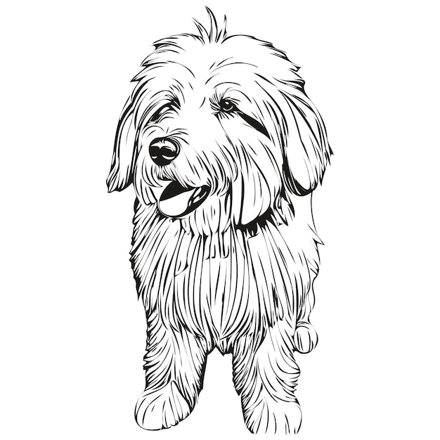 ベクトル オールド・イングリッシュ・シープドッグ犬ペットのシルエット動物ラインイラスト手描きの黒と白のベクトルスケッチ図面