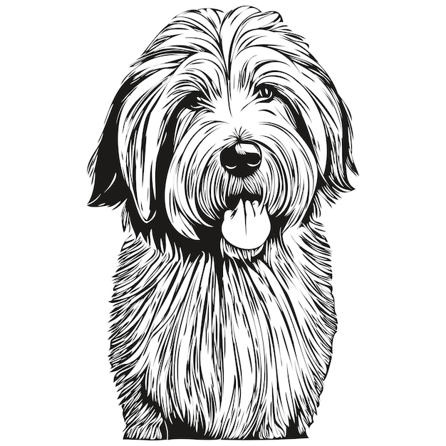 オールド イングリッシュ シープドッグ犬ベクトル顔描画ポートレート スケッチ ビンテージ スタイルの透明な背景現実的なペットのシルエット