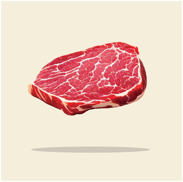 Old illustration of beef cut steak 08