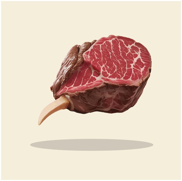 Vettore vecchia illustrazione di beef cuts rib eye 03