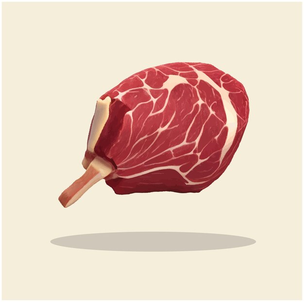 Vector old illustration of beef cuts rib eye 04