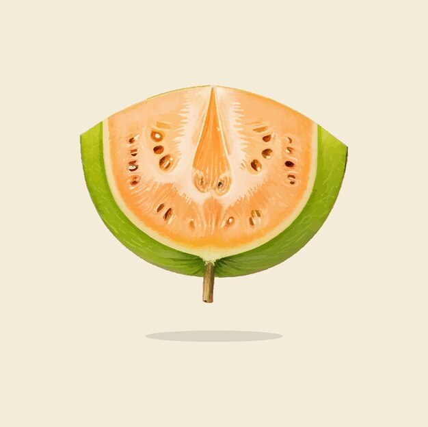 Vettore vecchia illustrazione di melon