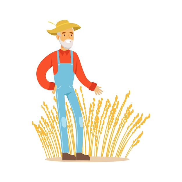 Вектор Старик с урожаем пшеницы фермер работает на ферме и продает на рынке натуральных органических продуктов