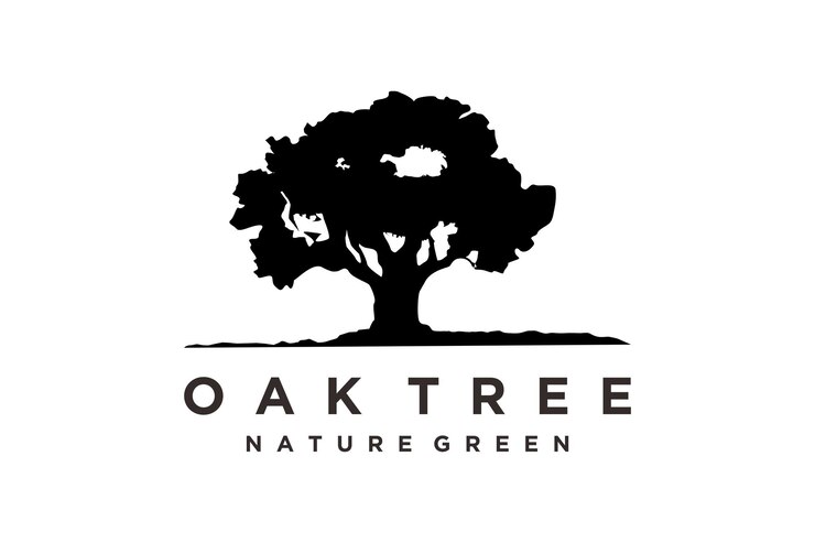 Vector old oak maple tree silhouette residential landscape vintage logo design
