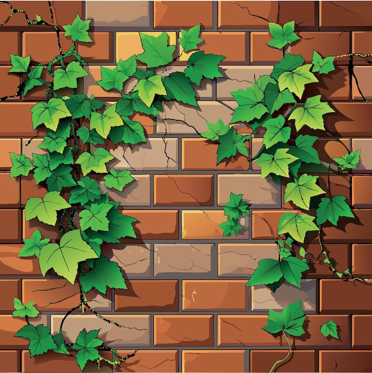 Vector old rusty brick wall texture with green ivy leaves as background