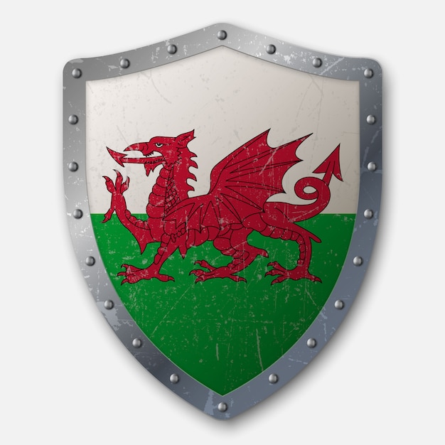 Vector old shield with flag of wales