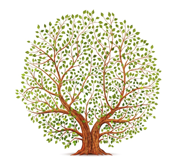 Illustrazione vettoriale del vecchio albero