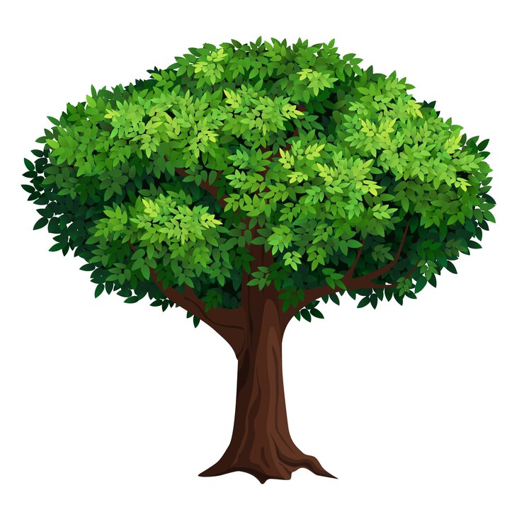 Vector a old tree with a big crown thick foliage detailed vector illustration isolated on white background