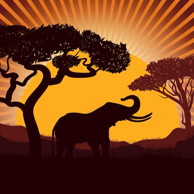 Vector olifant en zonsondergang vectorafbeeldingen zijn kleurrijk savannah