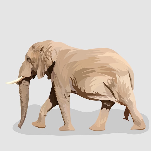 Olifant isoleerde realistische handgetekende vector en illustraties witte achtergrond