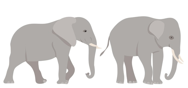 Olifant plat ontwerp geïsoleerd op een witte achtergrond vector