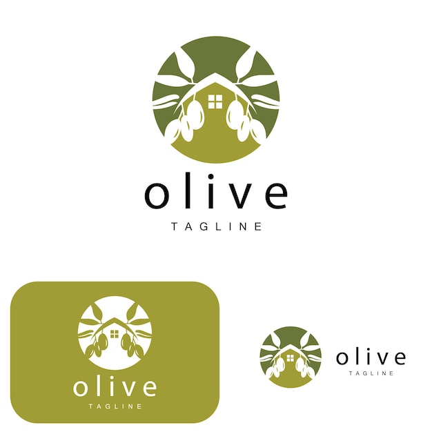 Olijf Logo Olijfolie Plant Vector Natuurlijke Kruiden Gezondheid Geneeskunde Ontwerp Illustratie Sjabloon Pictogram